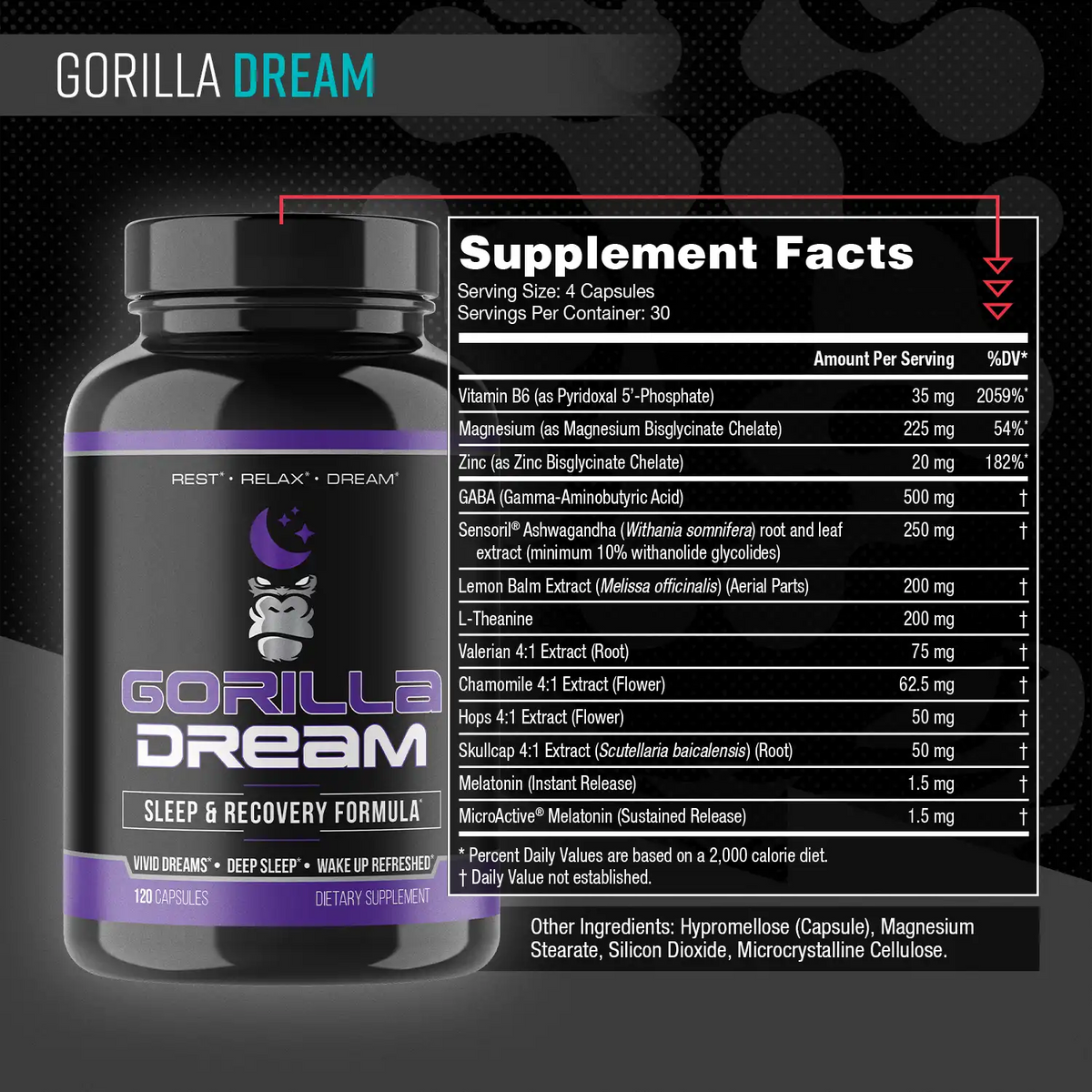 Gorilla Dream