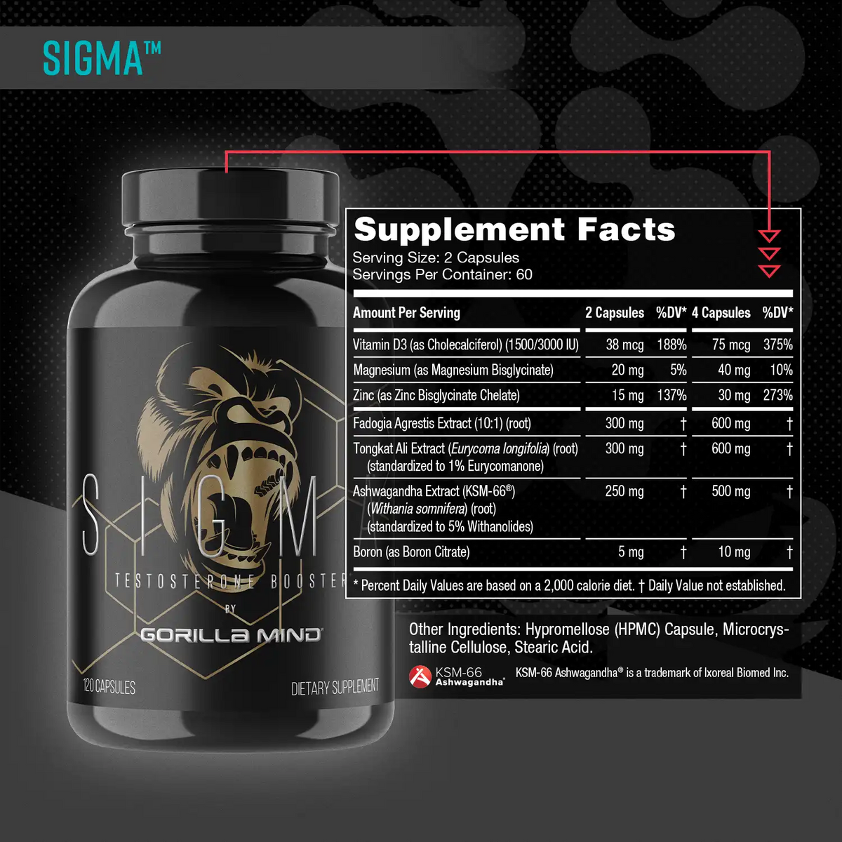 Male Performance Stack